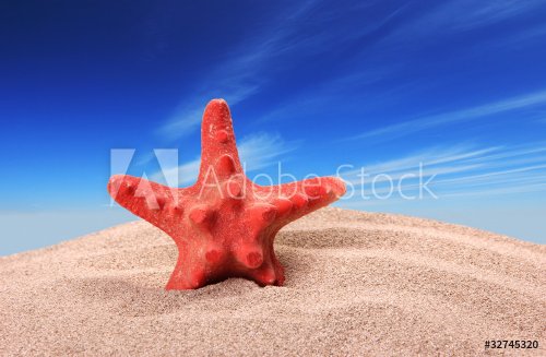 Starfish on beach - 900439899