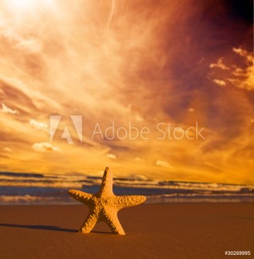 Starfish on summer beach at sunset. Travel, vacation