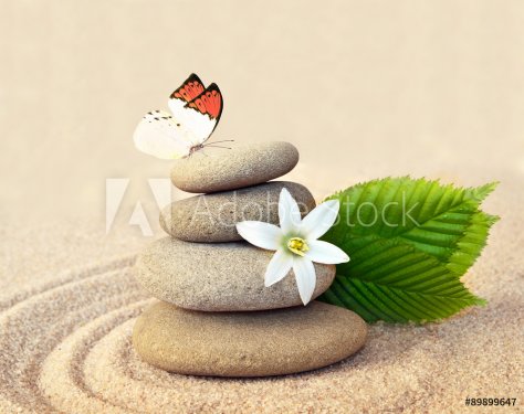 Stone balance , butterfly and flower