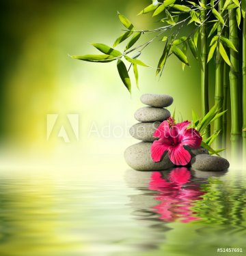 Stones, red hibiscus and Bamboo on the water - 901145271