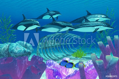 Striped Dolphin and Wreck - 901144590