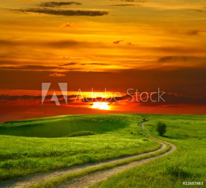 Summer landscape with green grass, road and sunset - 900671775
