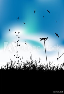 Summer meadow and birds in sky, black silhouette - 900459422
