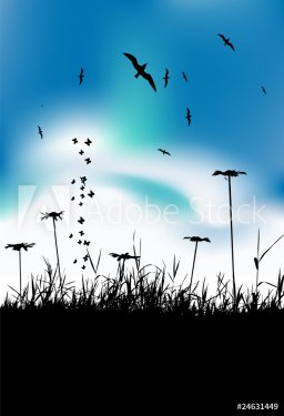 Summer meadow and birds in sky, black silhouette - 900459423