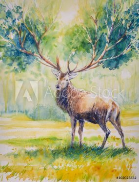 Summer.Red deer with big  horns on whose grow leaves.Picture created with watercolors.