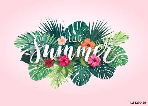 Summer tropical vector design for banner or flyer with exotic palm leaves, hi... - 901151031