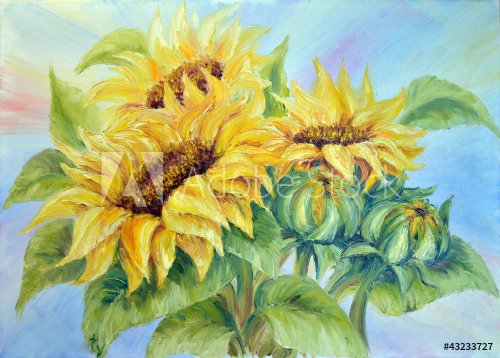 Sunflower - 901138125