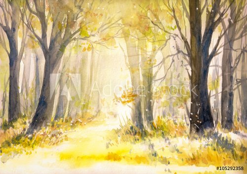 Sunny summer forest.Picture created with watercolors. - 901153746