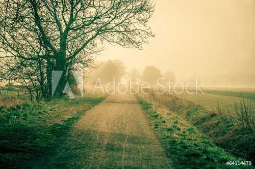 Sunrise at a countryside road in spring - 901143567