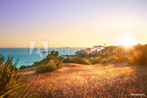 Sunset beach landscape
