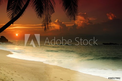Sunset on Sri Lanka - 900014774