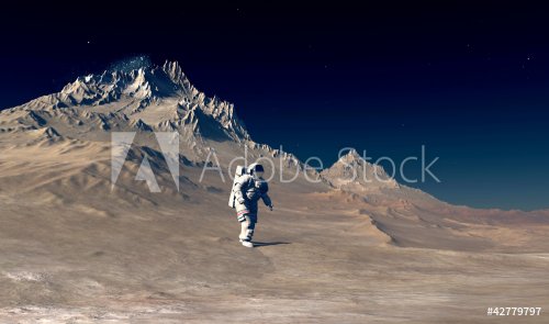 The astronaut - 900462111
