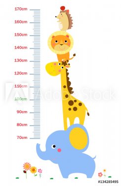 The child's height illustrations - 901154144