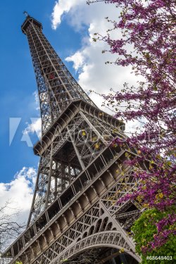 The eiffel tower in Paris - 901144531