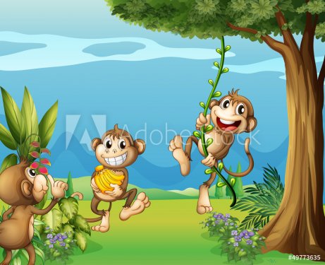 The three monkeys at the hills
