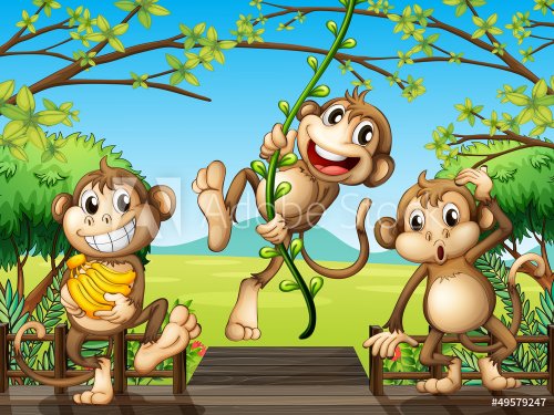 Three monkeys at the wooden bridge