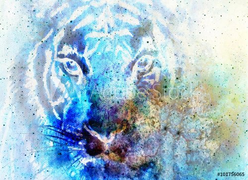  tiger head  in space with stars, computer collage.