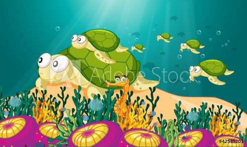 tortoise in water - 900460574