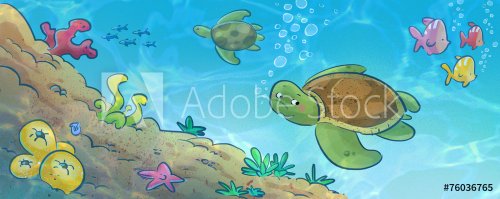 tortuga en fondo marino - 901143666