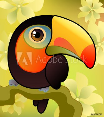 Toucan on the  branch