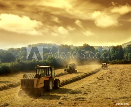 tractors - 900076329