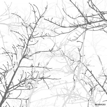 Tree Branches Background Pattern. Vector illustration. - 901146624