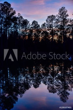Tree lined forest reflection on pond at sunset