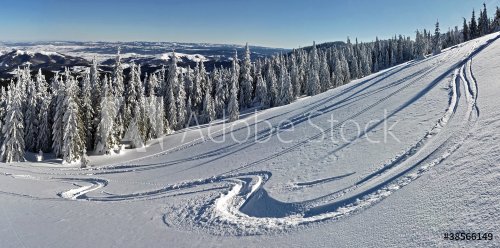 Trees covered with hoarfrost and snow in mountains - panorama