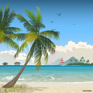Tropical beach - 900485221