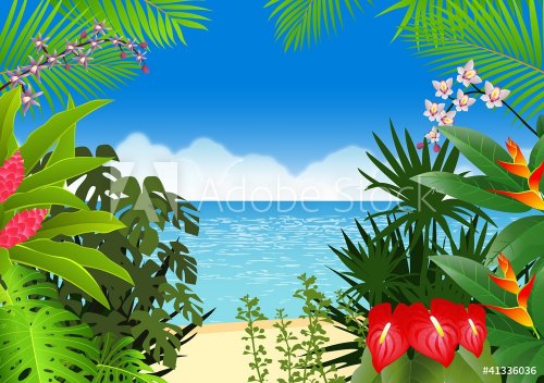 Tropical beach background - 900460495