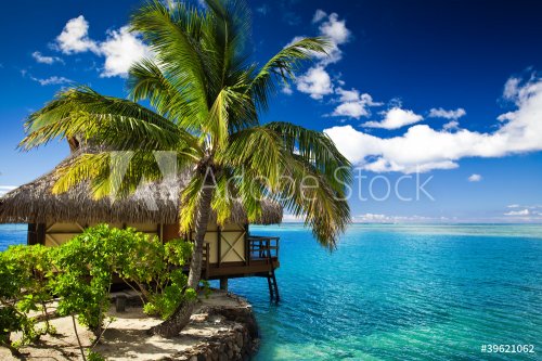 Tropical bungalow and palm tree next to amazing lagoon
