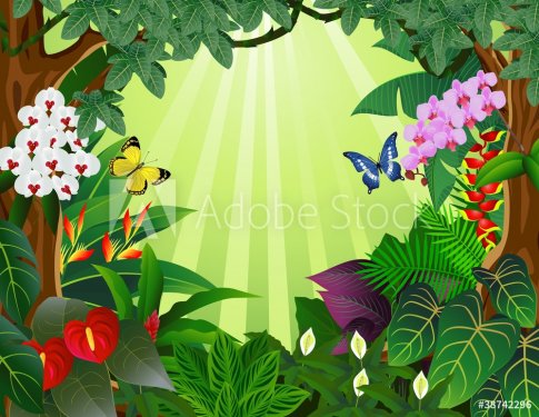 Tropical Forest - 900460497