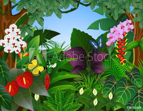 Tropical forest - 900461258