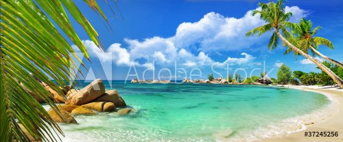 tropical paradise - Seychelles islands
