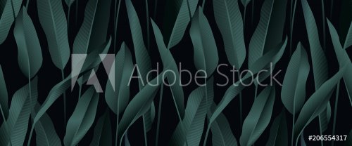 Tropical plant seamless pattern, Bird of paradise leaves on black background