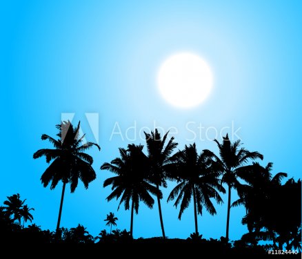 Tropical sunset, palm tree silhouette - 900459315