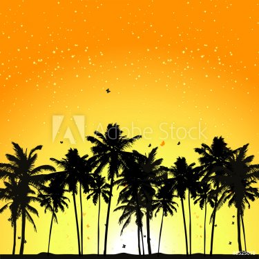 Tropical sunset, palm trees - 900459945