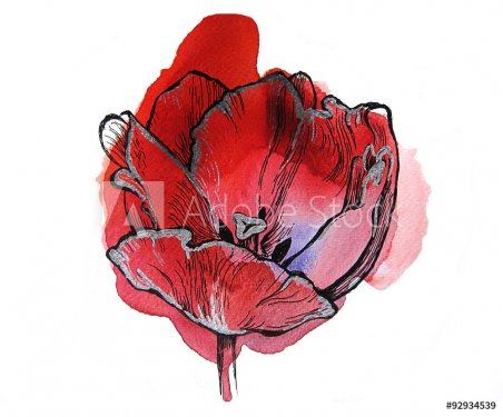 Tulip handmade on red watercolor splash. Isolated on white background. Fabric texture. Template for scrapbook.