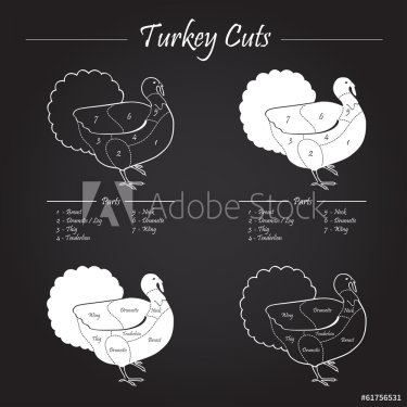 TURKEY MASCULINE CUTS SCHEME - blackboard - 901143900