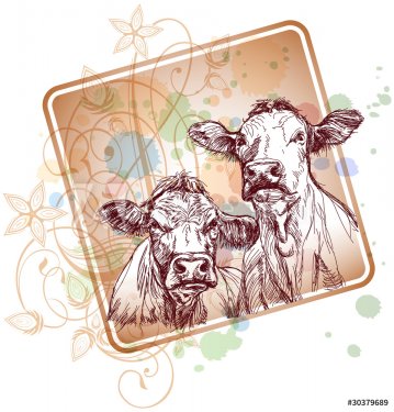 two cows hand draw sketch  & floral calligraphy ornament - 900454457
