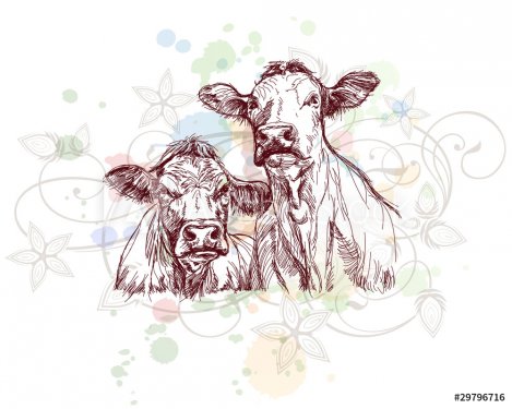 two cows hand draw sketch  & floral calligraphy ornament