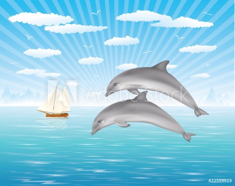Two dolphins. - 900954557