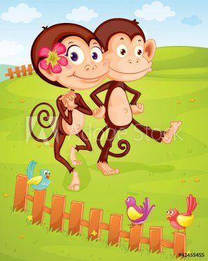 two monkeys - 900460612