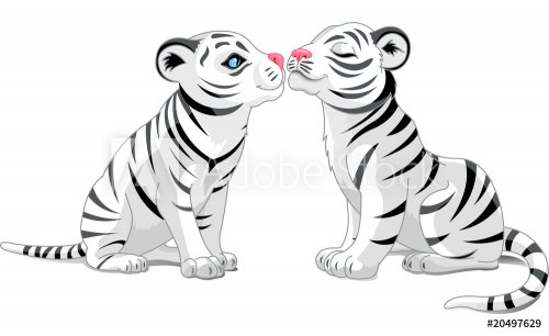 Two White Tigers in Love