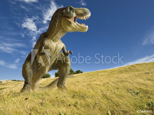 tyrannosaure - 900079066