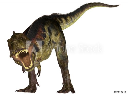 Tyrannosaurus - 900458985
