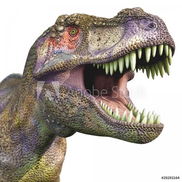 tyrannosaurus big head close up - 900458995