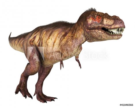 tyranosaur red face walking