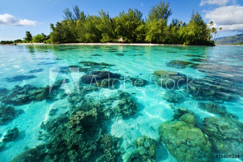 Underwater coral reef next to tropical island - 901139296