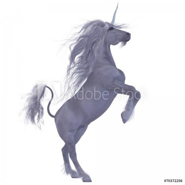 Unicorn over White - 901151514